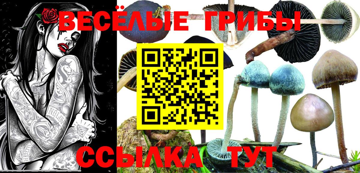 Псилоцибиновые грибы мухоморы Сальск